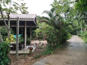 thumbnail: General view