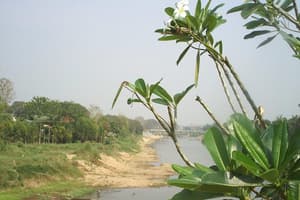 thumbnail: View from property