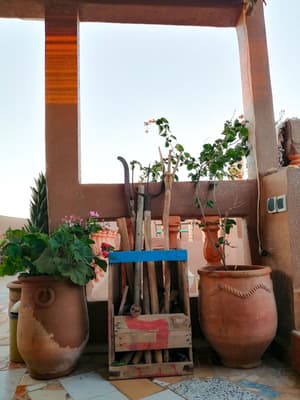 thumbnail: Terrace/patio