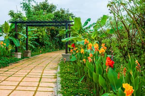thumbnail: Property amenity
