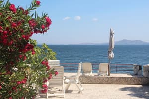 thumbnail: Sundeck