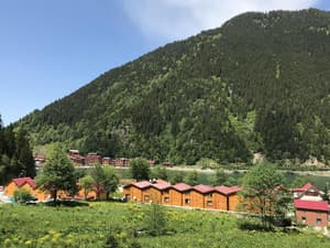 thumbnail: General view