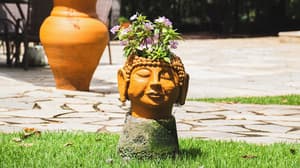 thumbnail: Terrace/patio