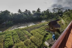 thumbnail: Balcony view