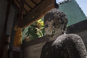 thumbnail: Garden