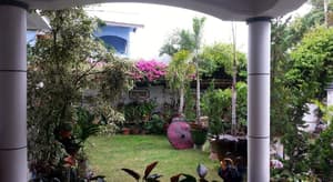 thumbnail: Garden