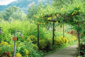 thumbnail: Garden