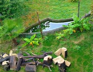 thumbnail: Property grounds