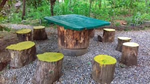 thumbnail: Property grounds