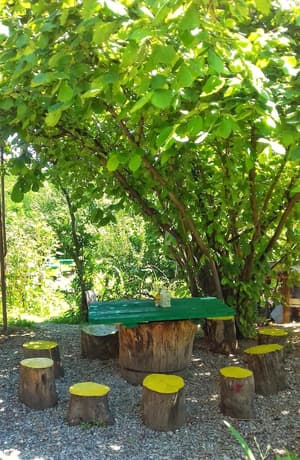thumbnail: Property grounds
