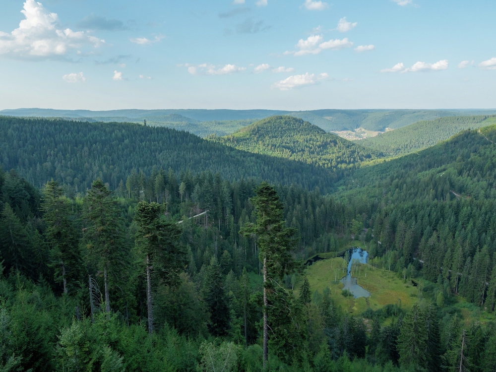 View from property