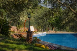 thumbnail: Outdoor pool