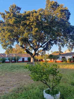 thumbnail: Front of property