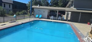 thumbnail: Outdoor pool