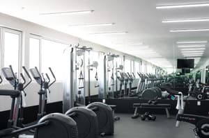 thumbnail: 161157706.jpg