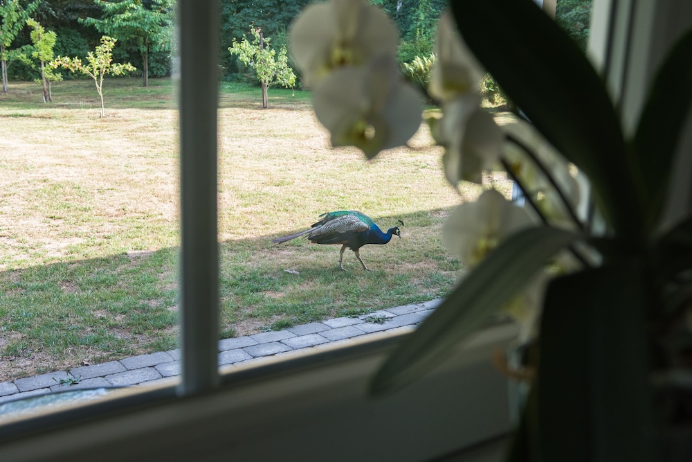View from room