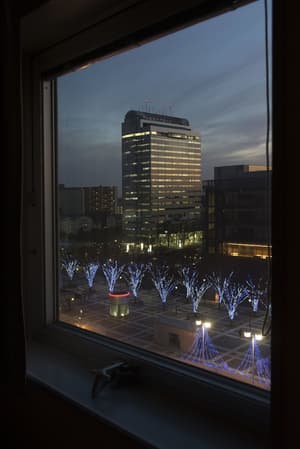 thumbnail: View from room