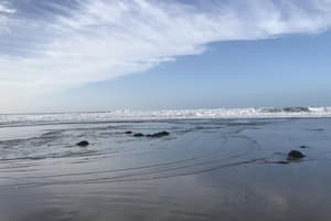 thumbnail: Beach