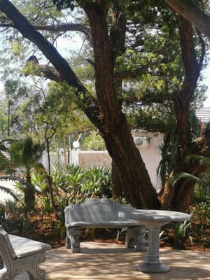 thumbnail: Garden