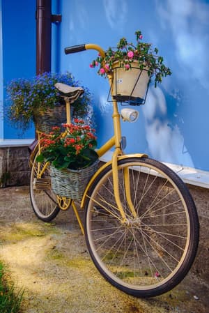 thumbnail: Terrace/patio