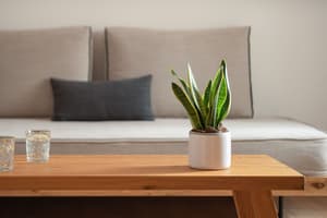 thumbnail: Living area