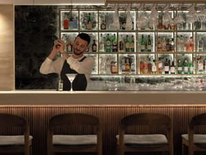 thumbnail: Bar (on property)
