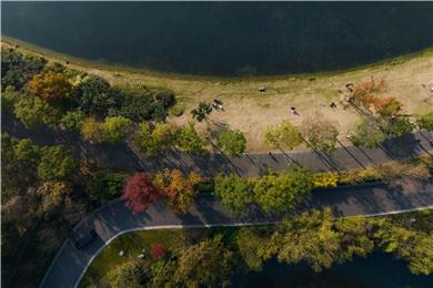 Outdoor/Exterior,View from above,Animals