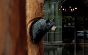 thumbnail: Interior detail