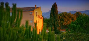 thumbnail: Front of property