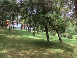thumbnail: Exterior