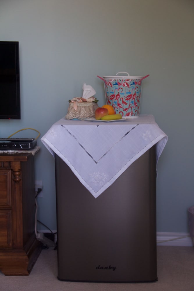 Mini-refrigerator