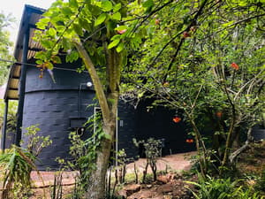 thumbnail: Garden view
