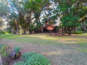 thumbnail: Garden view