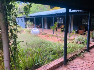 thumbnail: Garden view