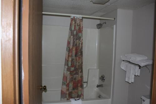 47806971.jpg