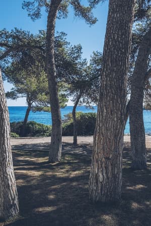 thumbnail: Beach