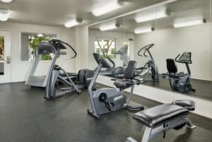thumbnail: Fitness facility