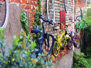 thumbnail: Bicycling