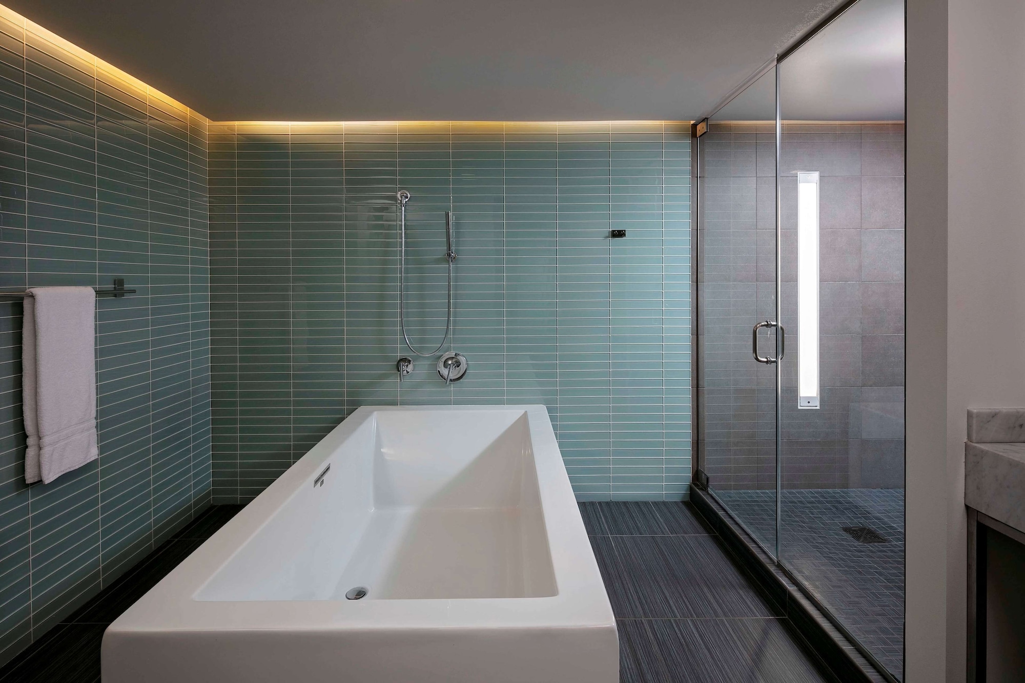 Swimming pool-spa