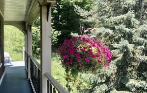 thumbnail: Exterior