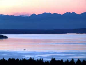 Ladysmith thumbnail