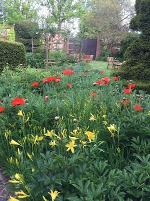 thumbnail: Garden