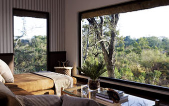 Londolozi Pioneer Room