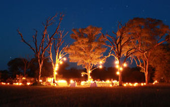 Londolozi Bushdinner