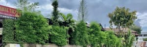 thumbnail: Property grounds