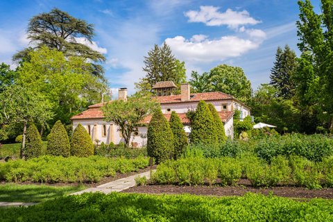 Suite In The Gardens