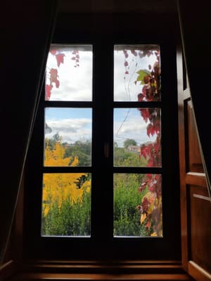 thumbnail: View from room