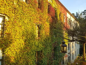 thumbnail: Exterior