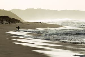 thumbnail: Surfing/boogie boarding