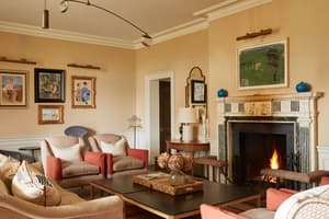 thumbnail: The Drawing Room